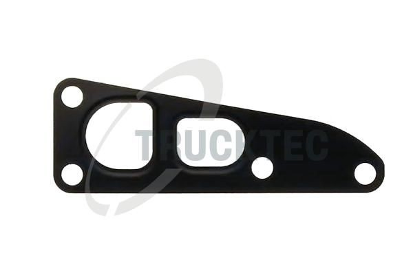 0219358 Trucktec Прокладка EGR-клапана рециркуляції